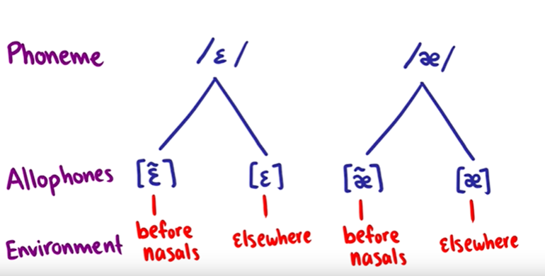 Introduction To Linguistic
